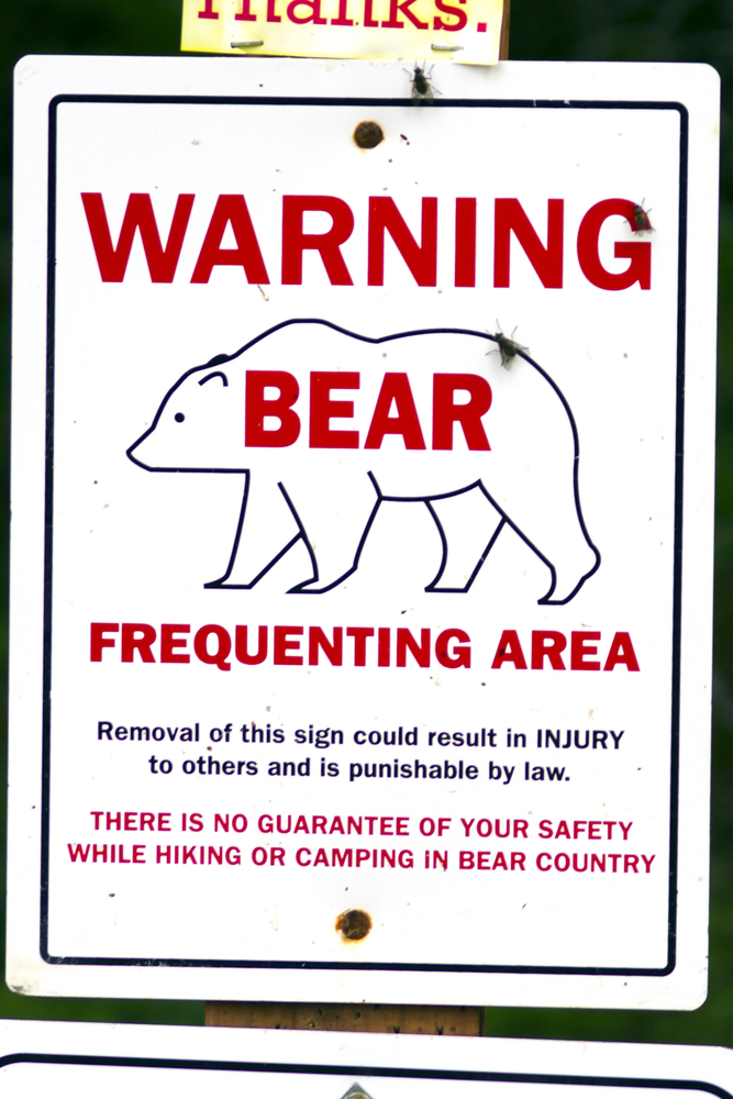 A Bear Warning Sign: Bear Phobia