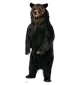 Animals - Advanced Graphics Life Size Cardboard Standup: Gifts for bear lovers