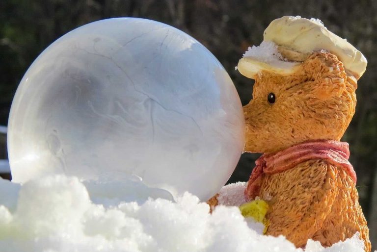 Ice Globe Bubbles with a Bear