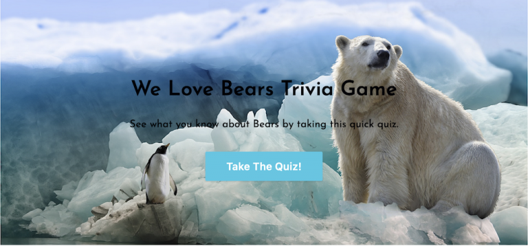 We Love Bears Trivia Game